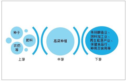 2021 2027年中国高粱行业市场运营格局及投资风险评估报告